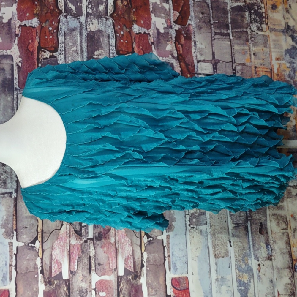 Sunny Leigh Ruffle Mesh Top